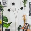 Bassagoda Lampadaire Nickel mat, Noir, 3 lumières