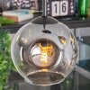 Ripoll Suspension, Boule lumineuse, Suspension grappe Clair, Fumé, 3 lumières
