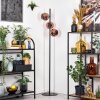 Koyoto Lampadaire 31 cm Cuivré, 3 lumières