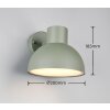 ELBE Applique murale Luminaires Trio Vert, 1 lumière