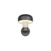 FRASER Applique murale Luminaires Trio Pierre, 1 lumière