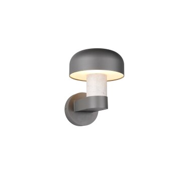 FRASER Applique murale Luminaires Trio Pierre, 1 lumière