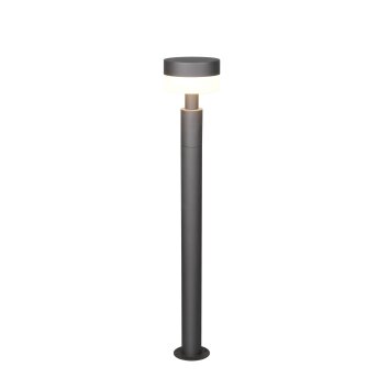 MACKENZIE Lampadaire d\'extérieur Luminaires Trio LED Anthracite, 1 lumière