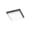 BERMEJO Plafonnier Luminaires Trio LED Anthracite, 1 lumière, Détecteur de mouvement