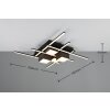 Roger Plafonnier Luminaires Trio LED Noir, 1 lumière, Télécommandes