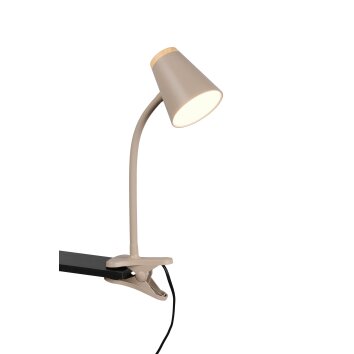 Pongo Lampe à clip Luminaires Reality LED Beige, 1 lumière