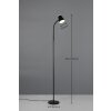 Pongo Lampadaire Luminaires Reality LED Noir, 1 lumière