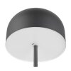 Jeff Lampadaire Luminaires Reality LED Noir, 1 lumière