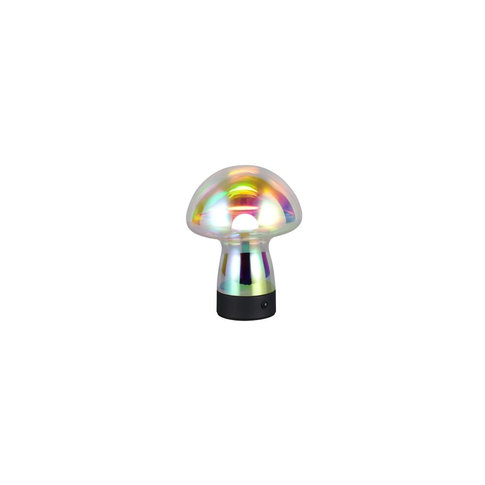 Dooley Lampe à poser Luminaires Reality LED Transparent, 1 lumière main product photo