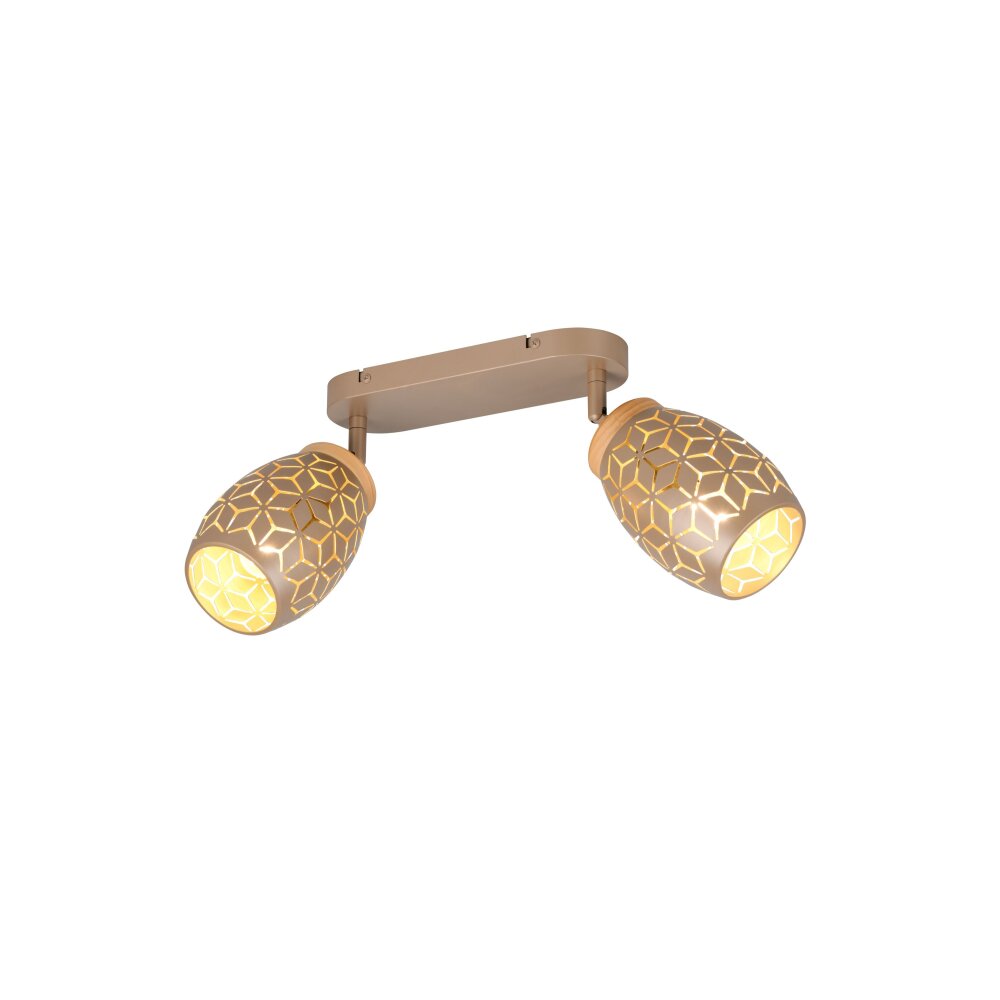 Bidar Spot de plafond Luminaires Reality Brun, 2 lumières main product photo