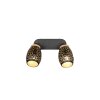 Bidar Spot de plafond Luminaires Reality Noir doré, 2 lumières
