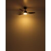 Blackwell Ventilateur de plafond lumineux Luminaires Globo Lighting LED Noir, 1 lumière, Télécommandes