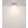 Shelly Ventilateur de plafond lumineux Luminaires Globo Lighting LED Blanc, 1 lumière, Télécommandes