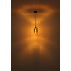 Aleidis Suspension Luminaires Globo Lighting Brun foncé, Noir, 1 lumière