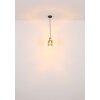 Aleidis Suspension Luminaires Globo Lighting Brun foncé, Noir, 1 lumière