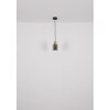 Aleidis Suspension Luminaires Globo Lighting Brun foncé, Noir, 1 lumière