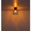 Dichti Plafonnier Luminaires Globo Lighting Noir, 1 lumière