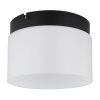 Trenton Plafonnier Luminaires Globo Lighting LED Noir, 1 lumière