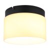 Trenton Plafonnier Luminaires Globo Lighting LED Noir, 1 lumière