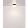 Trenton Plafonnier Luminaires Globo Lighting LED Noir, 1 lumière