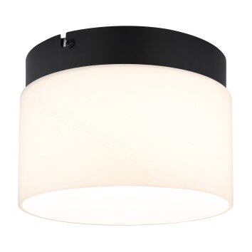 Trenton Plafonnier Luminaires Globo Lighting LED Noir, 1 lumière