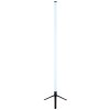 Rocky Lampadaire Luminaires Globo Lighting LED Noir, 1 lumière, Télécommandes, Changeur de couleurs