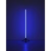 Rocky Lampadaire Luminaires Globo Lighting LED Noir, 1 lumière, Télécommandes, Changeur de couleurs