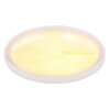 Tyrone Plafonnier Luminaires Globo Lighting LED Blanc, 1 lumière