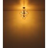Conor Plafonnier Luminaires Globo Lighting Noir, 13 lumières