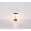 Tomo Lampe à poser Luminaires Globo Lighting LED Anthracite, 1 lumière