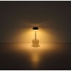 Wanda Lampe à poser Luminaires Globo Lighting LED Transparent, 1 lumière