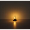 Petro Lampe à poser Luminaires Globo Lighting LED Vert, 1 lumière
