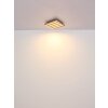 Hayden Plafonnier Luminaires Globo Lighting LED Écru, Noir, 1 lumière