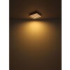 Hayden Plafonnier Luminaires Globo Lighting LED Écru, Noir, 1 lumière