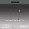 NELE Suspension Luminaires Leuchten Direkt LED Noir, 1 lumière