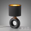 CARARA Lampe à poser Luminaires Leuchten Direkt LED Noir, 1 lumière