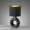 CARARA Lampe à poser Luminaires Leuchten Direkt LED Noir, 1 lumière