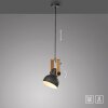 2.0 Suspension Luminaires Leuchten Direkt LED Brun, Noir, 1 lumière