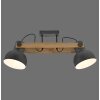 2.0 Plafonnier Luminaires Leuchten Direkt LED Brun, Noir, 2 lumières