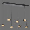 Rika Suspension Luminaires Paul Neuhaus LED Noir, 7 lumières