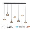 Rika Suspension Luminaires Paul Neuhaus LED Noir, 7 lumières