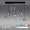 Rika Suspension Luminaires Paul Neuhaus LED Noir, 7 lumières