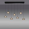 Rika Suspension Luminaires Paul Neuhaus LED Noir, 7 lumières