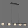 Rika Suspension Luminaires Paul Neuhaus LED Noir, 5 lumières