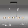 Rika Suspension Luminaires Paul Neuhaus LED Noir, 5 lumières