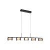 Rika Suspension Luminaires Paul Neuhaus LED Noir, 5 lumières