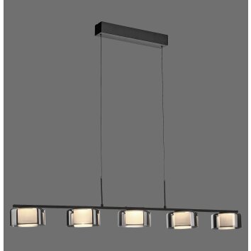 Rika Suspension Luminaires Paul Neuhaus LED Noir, 5 lumières