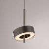 Q-Rotate Suspension Luminaires Paul Neuhaus LED Brun, 1 lumière, Télécommandes