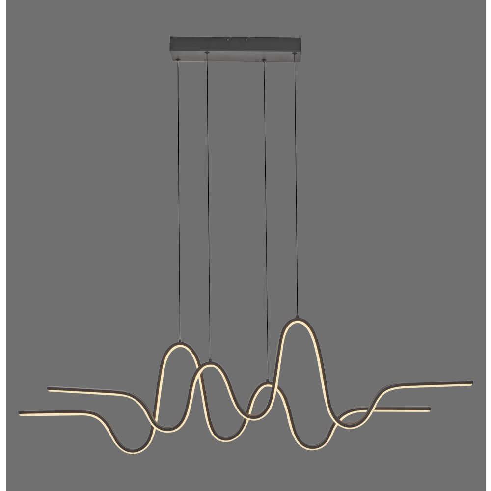 Altitude Suspension Luminaires Paul Neuhaus LED Noir, 1 lumière main product photo