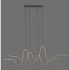 Altitude Suspension Luminaires Paul Neuhaus LED Noir, 1 lumière